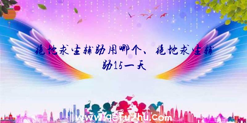 绝地求生辅助用哪个、绝地求生辅助15一天