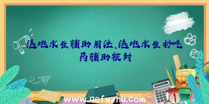 绝地求生辅助用法、绝地求生秒吃药辅助被封