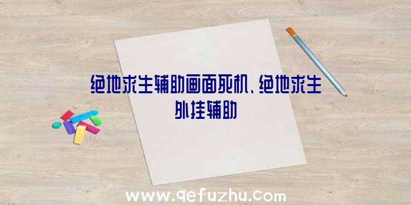 绝地求生辅助画面死机、绝地求生外挂辅助