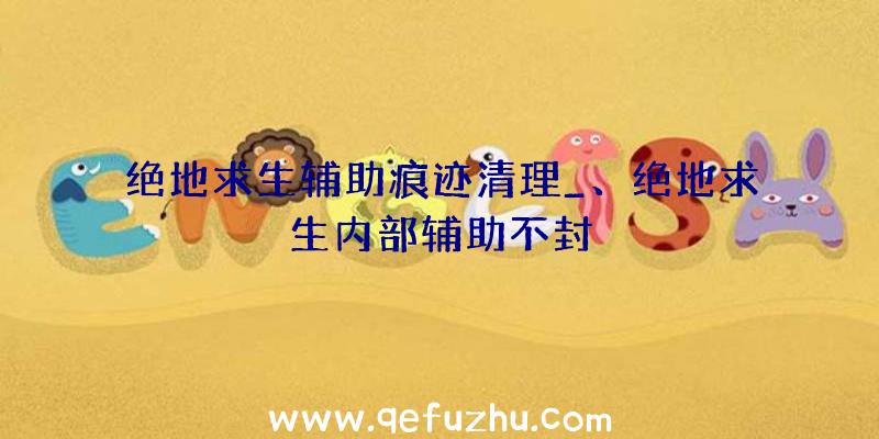 绝地求生辅助痕迹清理_、绝地求生内部辅助不封