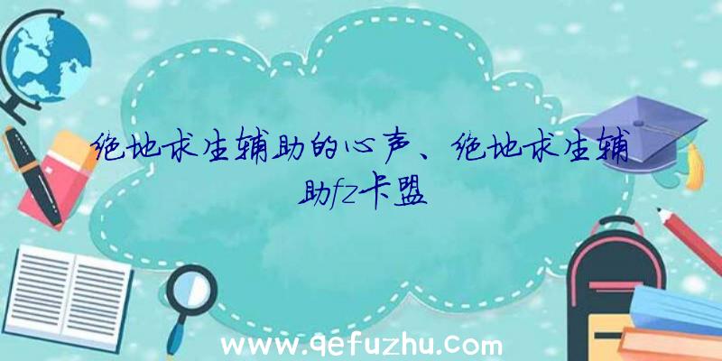 绝地求生辅助的心声、绝地求生辅助fz卡盟