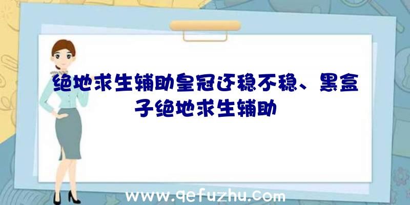 绝地求生辅助皇冠还稳不稳、黑盒子绝地求生辅助