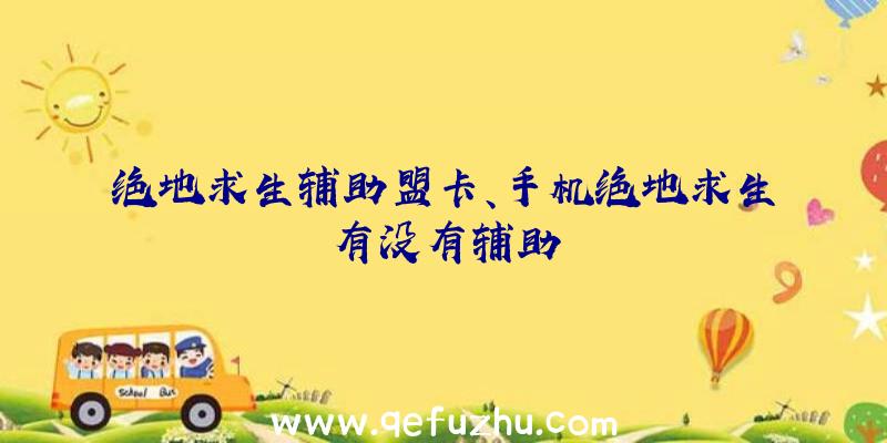 绝地求生辅助盟卡、手机绝地求生有没有辅助