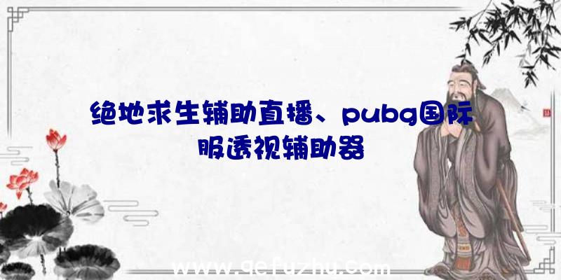 绝地求生辅助直播、pubg国际服透视辅助器