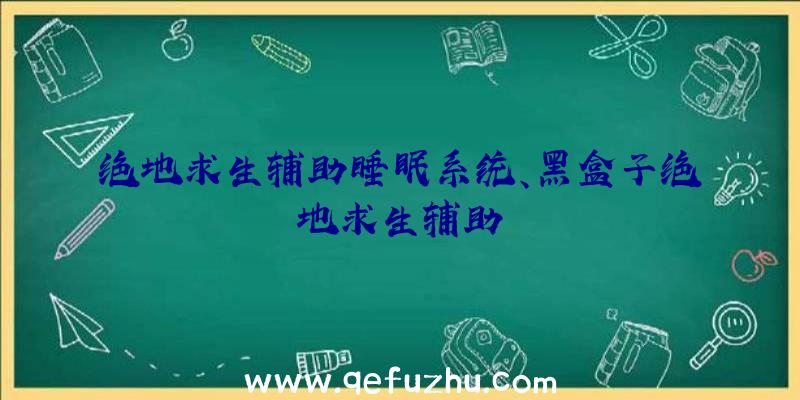 绝地求生辅助睡眠系统、黑盒子绝地求生辅助