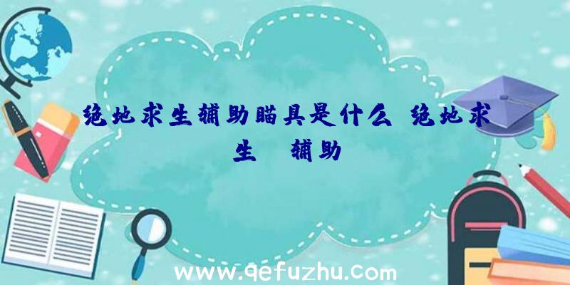 绝地求生辅助瞄具是什么、绝地求生da辅助