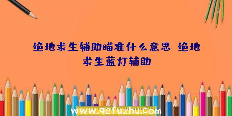 绝地求生辅助瞄准什么意思、绝地求生蓝灯辅助