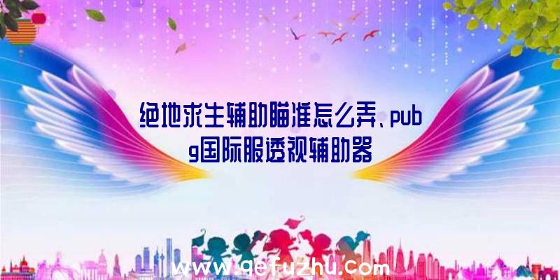 绝地求生辅助瞄准怎么弄、pubg国际服透视辅助器