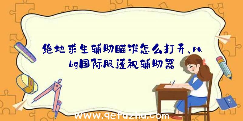 绝地求生辅助瞄准怎么打开、pubg国际服透视辅助器