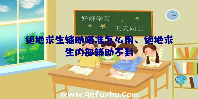 绝地求生辅助瞄准怎么用、绝地求生内部辅助不封