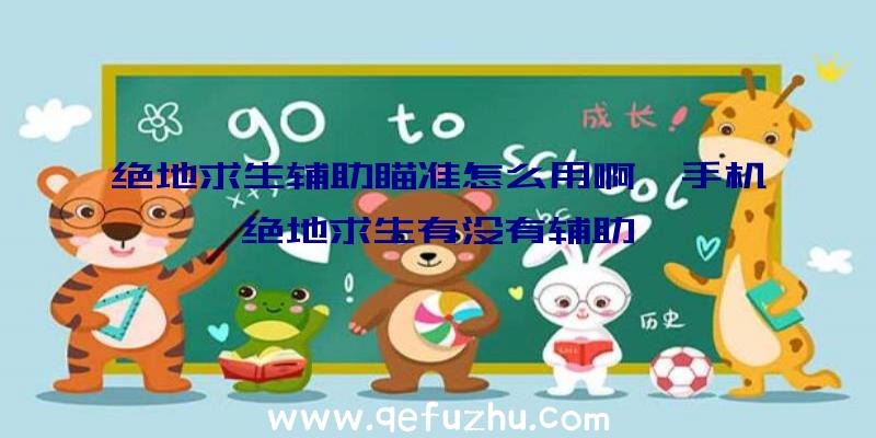 绝地求生辅助瞄准怎么用啊、手机绝地求生有没有辅助