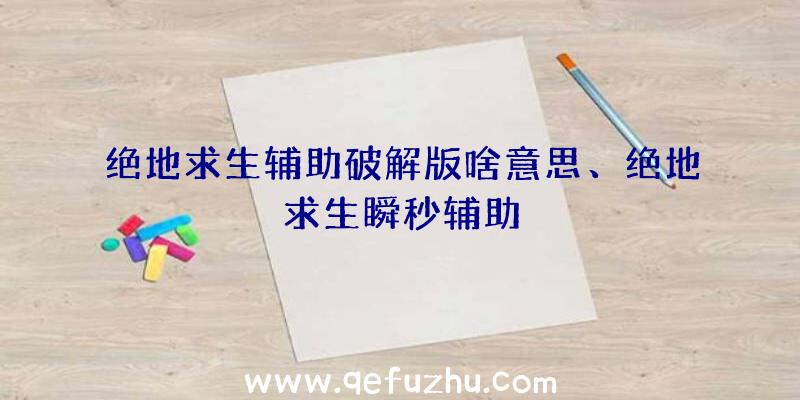 绝地求生辅助破解版啥意思、绝地求生瞬秒辅助