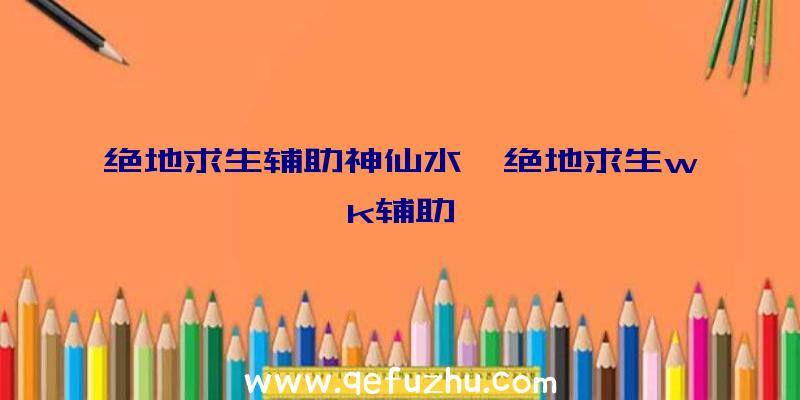 绝地求生辅助神仙水、绝地求生wk辅助