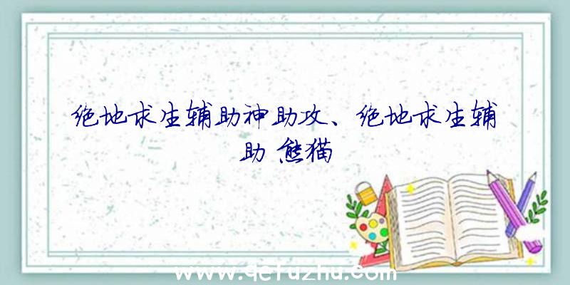 绝地求生辅助神助攻、绝地求生辅助