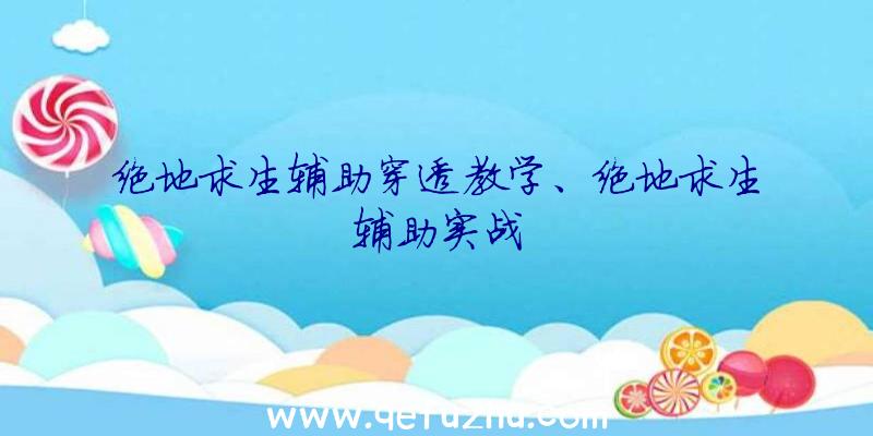 绝地求生辅助穿透教学、绝地求生辅助实战