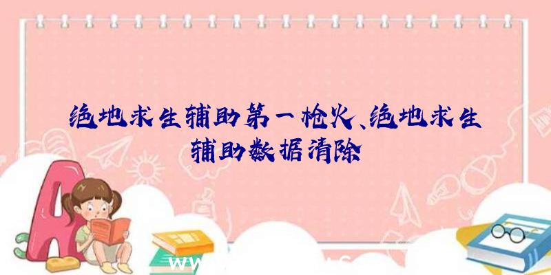 绝地求生辅助第一枪火、绝地求生辅助数据清除