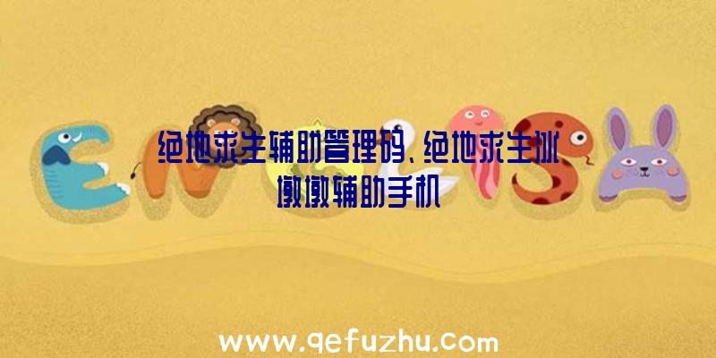 绝地求生辅助管理码、绝地求生冰墩墩辅助手机