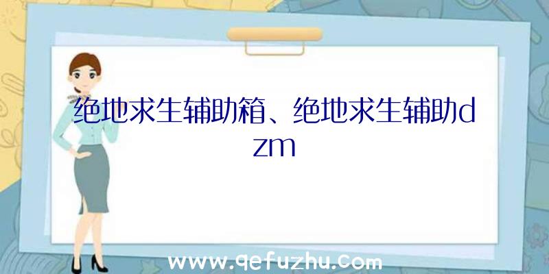 绝地求生辅助箱、绝地求生辅助dzm