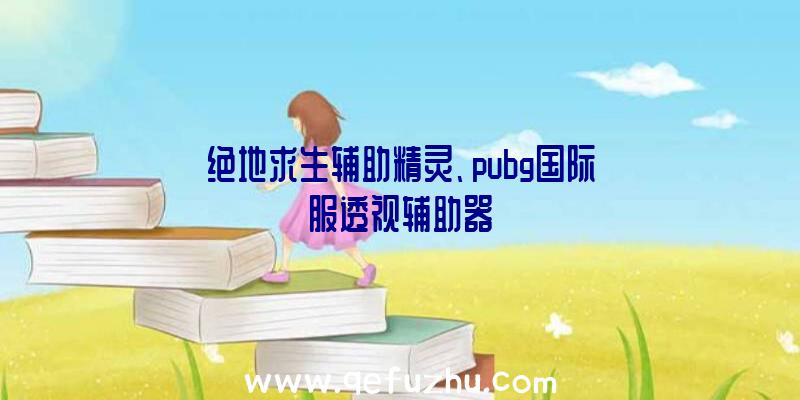 绝地求生辅助精灵、pubg国际服透视辅助器