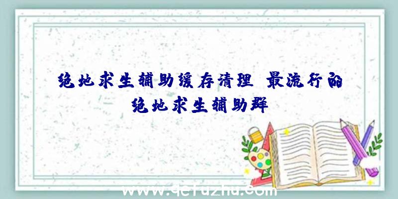 绝地求生辅助缓存清理、最流行的绝地求生辅助群