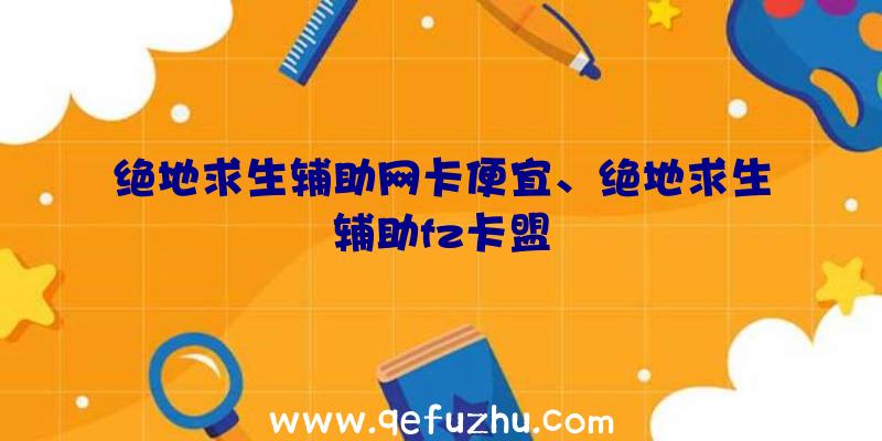 绝地求生辅助网卡便宜、绝地求生辅助fz卡盟