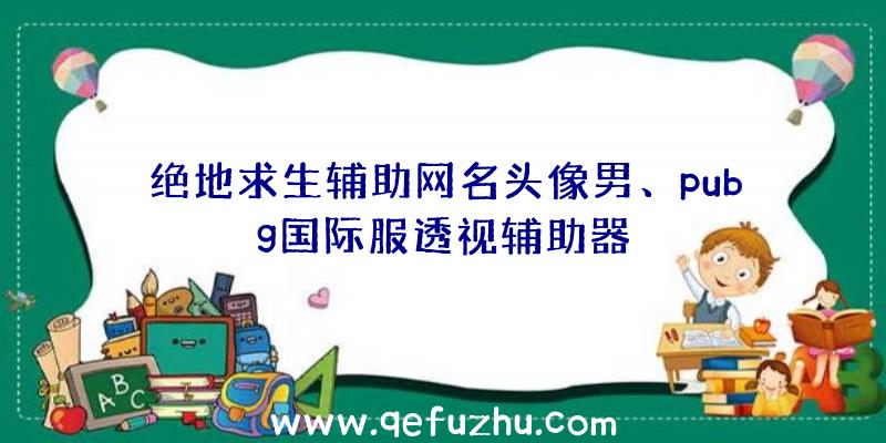 绝地求生辅助网名头像男、pubg国际服透视辅助器