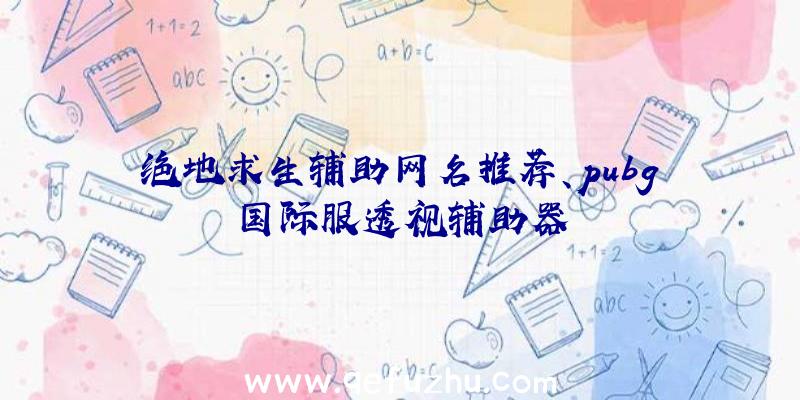 绝地求生辅助网名推荐、pubg国际服透视辅助器