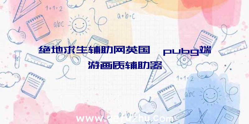 绝地求生辅助网英国、pubg端游画质辅助器