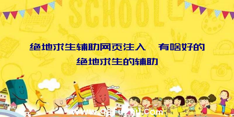 绝地求生辅助网页注入、有啥好的绝地求生的辅助