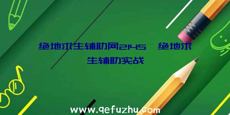 绝地求生辅助网2145、绝地求生辅助实战