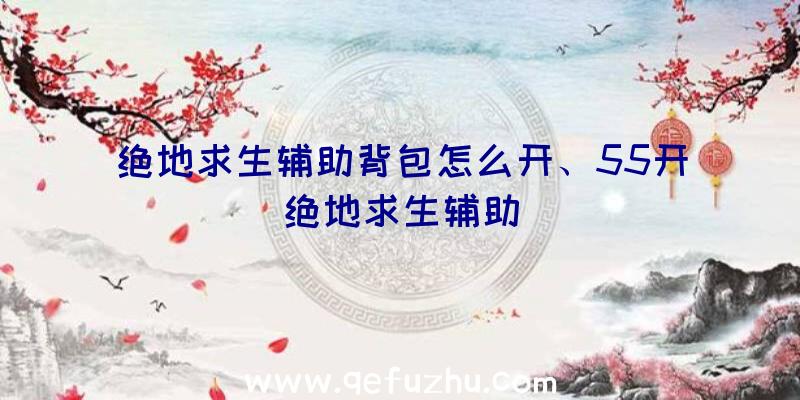 绝地求生辅助背包怎么开、55开绝地求生辅助