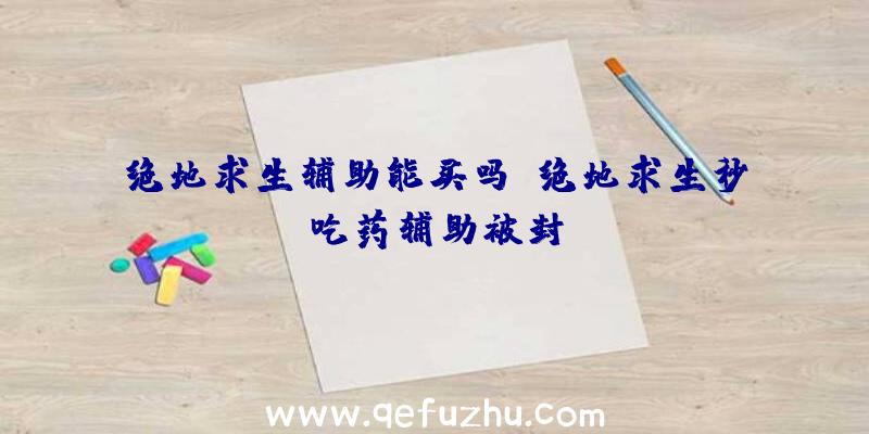 绝地求生辅助能买吗、绝地求生秒吃药辅助被封