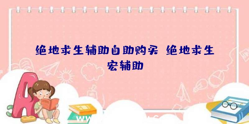 绝地求生辅助自助购买、绝地求生宏辅助