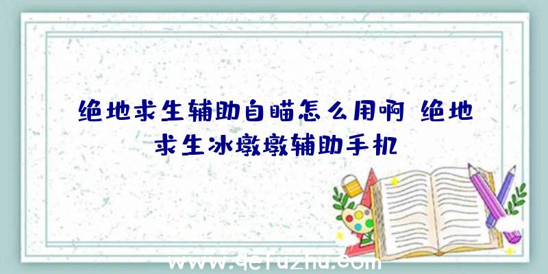 绝地求生辅助自瞄怎么用啊、绝地求生冰墩墩辅助手机