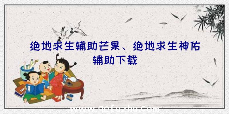 绝地求生辅助芒果、绝地求生神佑辅助下载