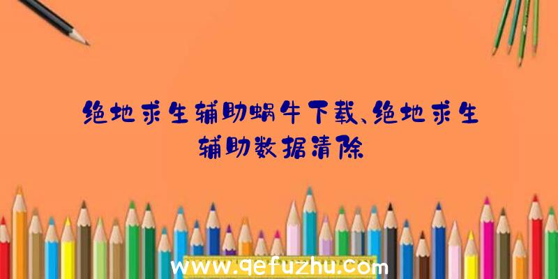 绝地求生辅助蜗牛下载、绝地求生辅助数据清除
