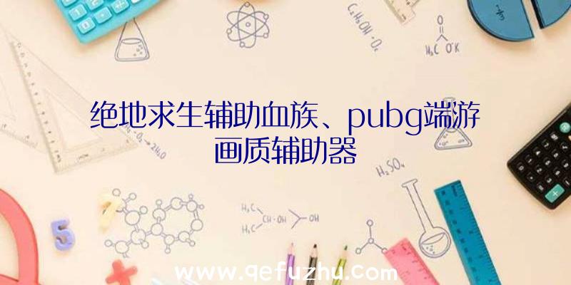 绝地求生辅助血族、pubg端游画质辅助器