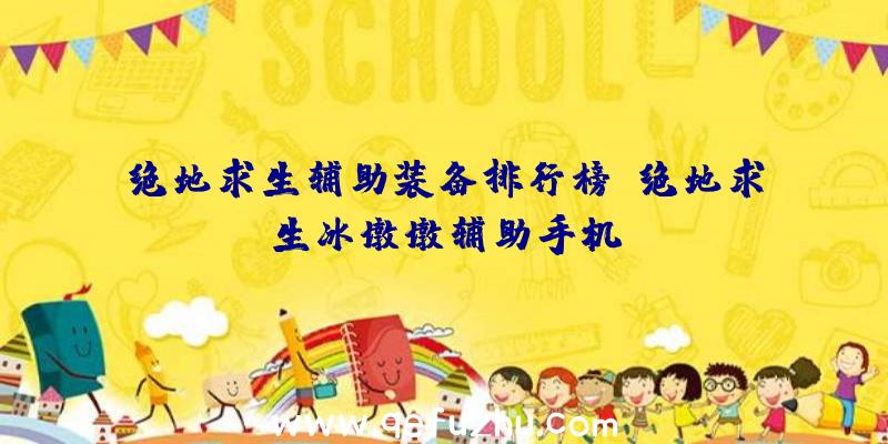 绝地求生辅助装备排行榜、绝地求生冰墩墩辅助手机