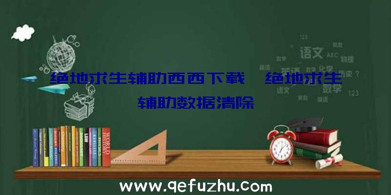 绝地求生辅助西西下载、绝地求生辅助数据清除