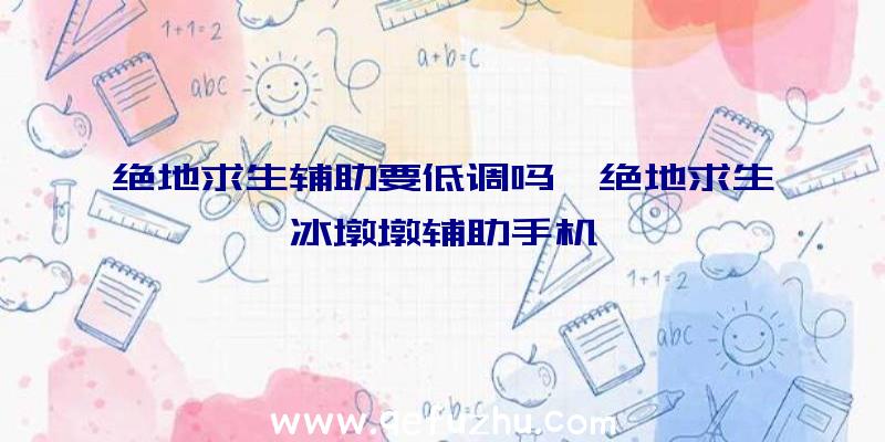 绝地求生辅助要低调吗、绝地求生冰墩墩辅助手机