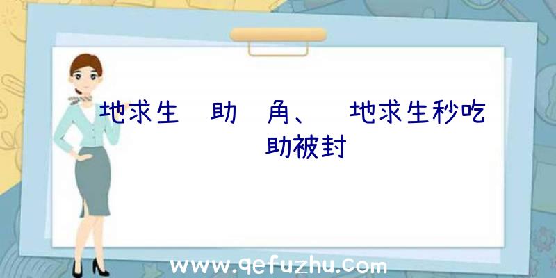 绝地求生辅助视角、绝地求生秒吃药辅助被封