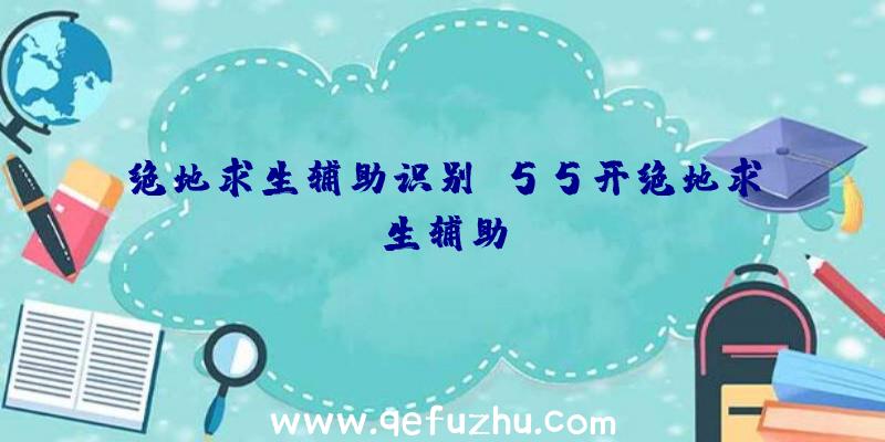 绝地求生辅助识别、55开绝地求生辅助