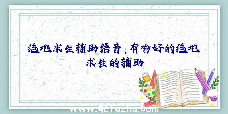 绝地求生辅助语音、有啥好的绝地求生的辅助