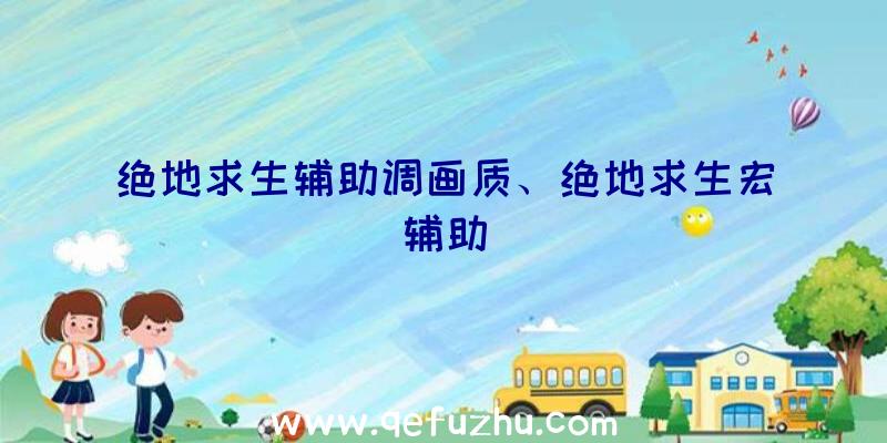 绝地求生辅助调画质、绝地求生宏辅助