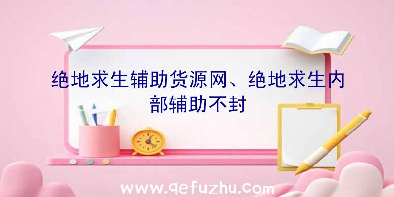 绝地求生辅助货源网、绝地求生内部辅助不封