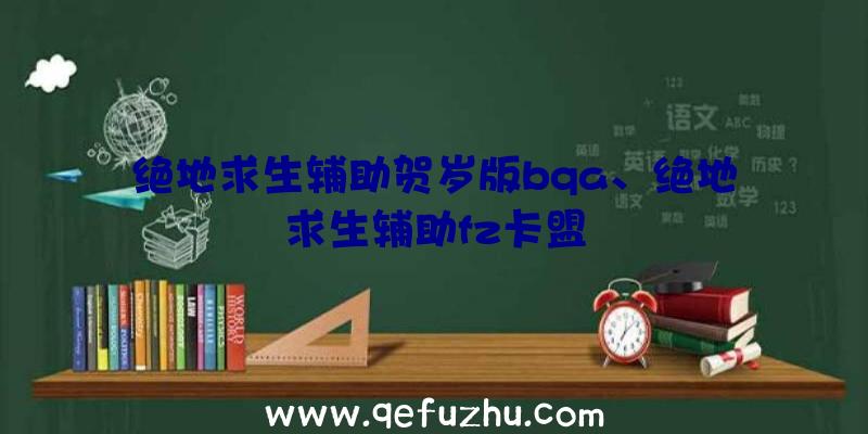 绝地求生辅助贺岁版bqa、绝地求生辅助fz卡盟