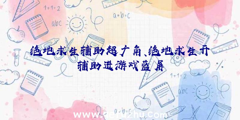 绝地求生辅助超广角、绝地求生开辅助进游戏蓝屏