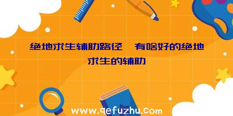 绝地求生辅助路径、有啥好的绝地求生的辅助