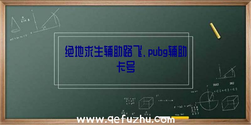 绝地求生辅助路飞、pubg辅助卡号