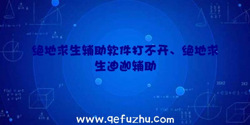 绝地求生辅助软件打不开、绝地求生迪迦辅助